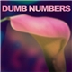 Dumb Numbers - Dumb Numbers